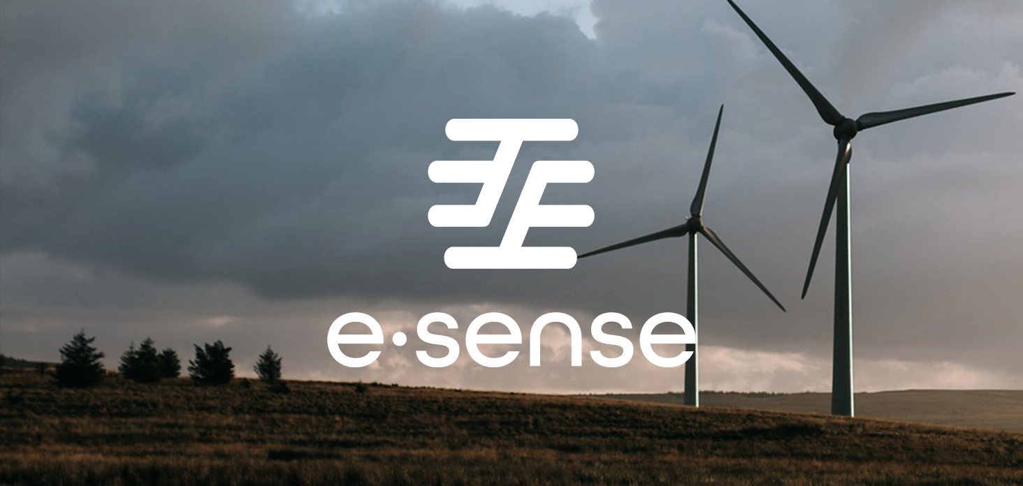 e-sense logo identité visuelle